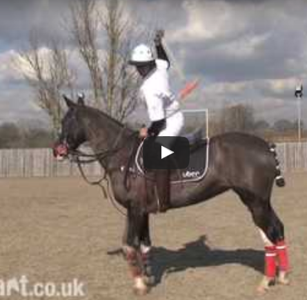 How to play Polo - How to hit a near side back hand shot.mp4 