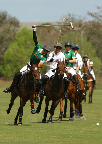 alexpacheco polo photos free booter polo tournament int polo club 4