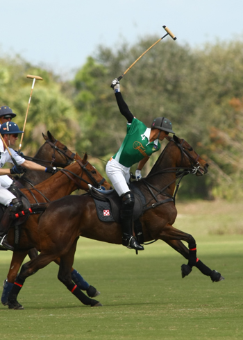 alexpacheco polo photos free booter polo tournament int polo club 6
