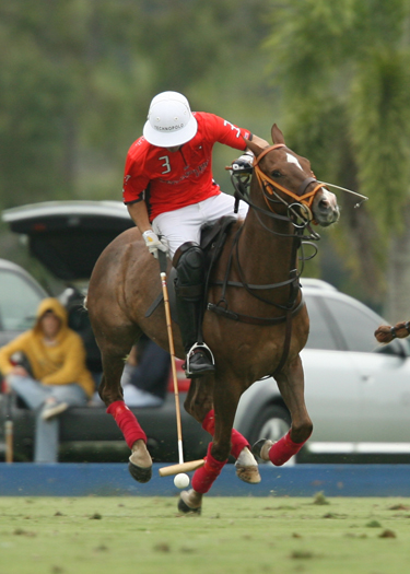orchardhill polo team audi polo team ipc polo club alex pacheco polo photos 5