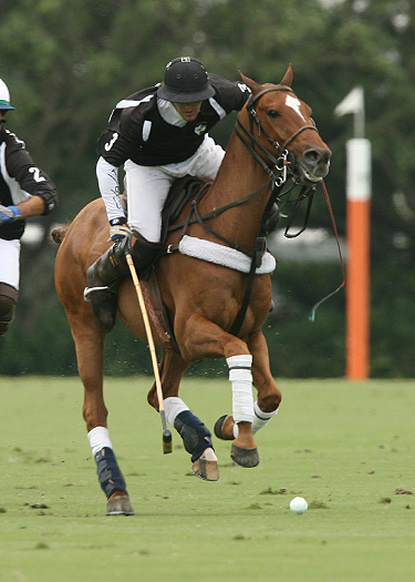 polo photos alex pacheco polo mag ipc polo club 2013 crab orchard audi polo teams 1