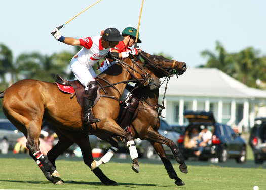 polo magazine alexpacheco us polo open championships polo tournament coca cola polo team audi polo team ipc polo club florida polo 4