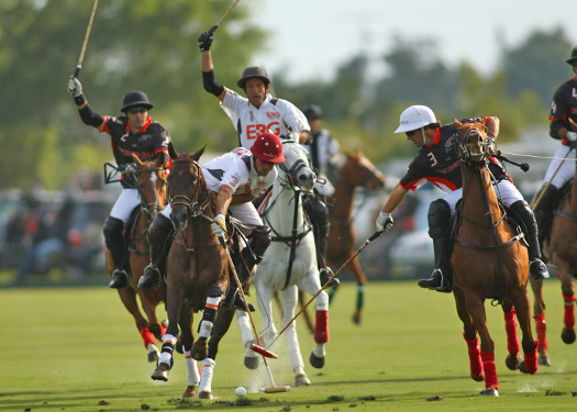 polo top polo tournament piaget gold cup polo teams polo usa polo club 3
