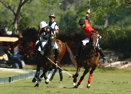 polotoppolotournamentalexpaceheco photos orchardhill polo team piaget 2