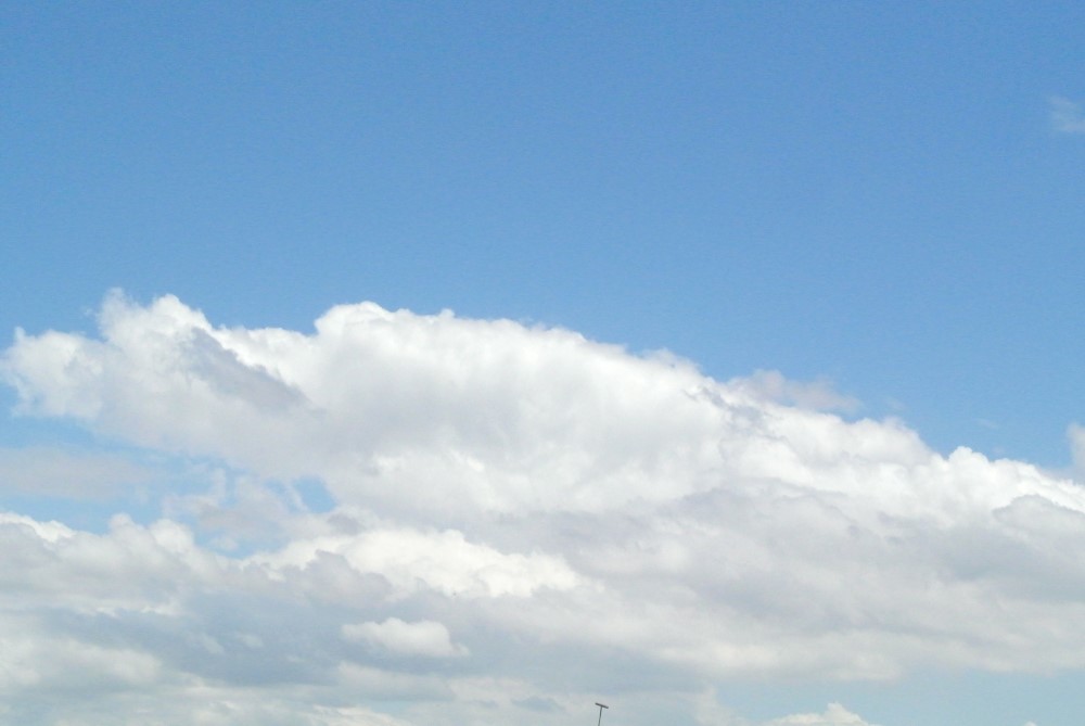 DSC 7546