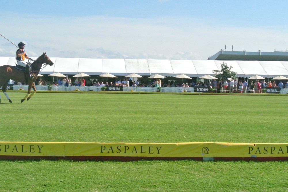DSC 8200