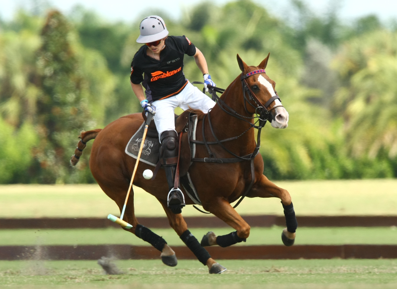 fallplatepolotournamentphotospacheco polomagazinethepolomag 6