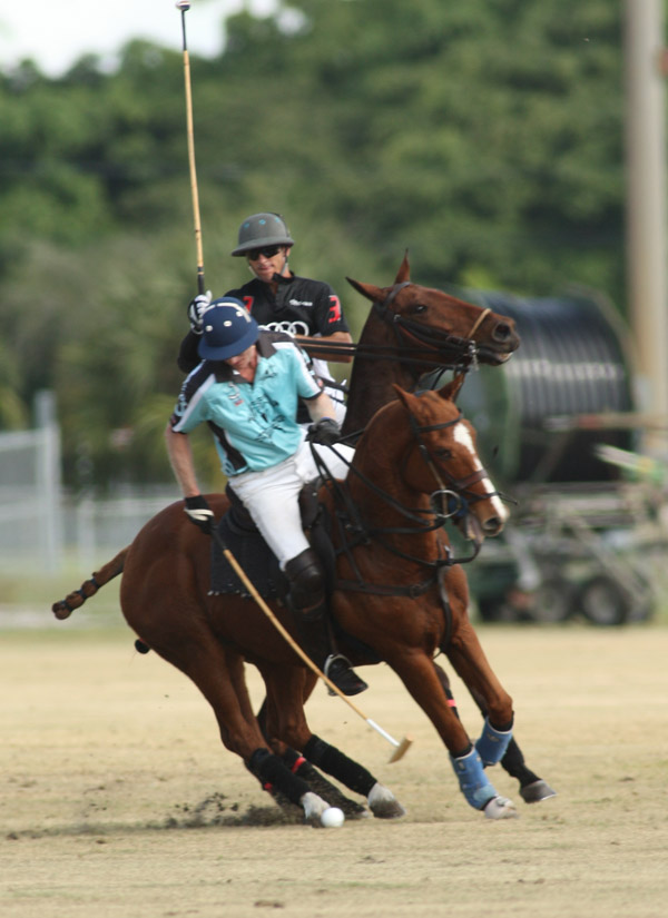 audiberlinpoloteamnorthamericanpolocuppolomagazine 4