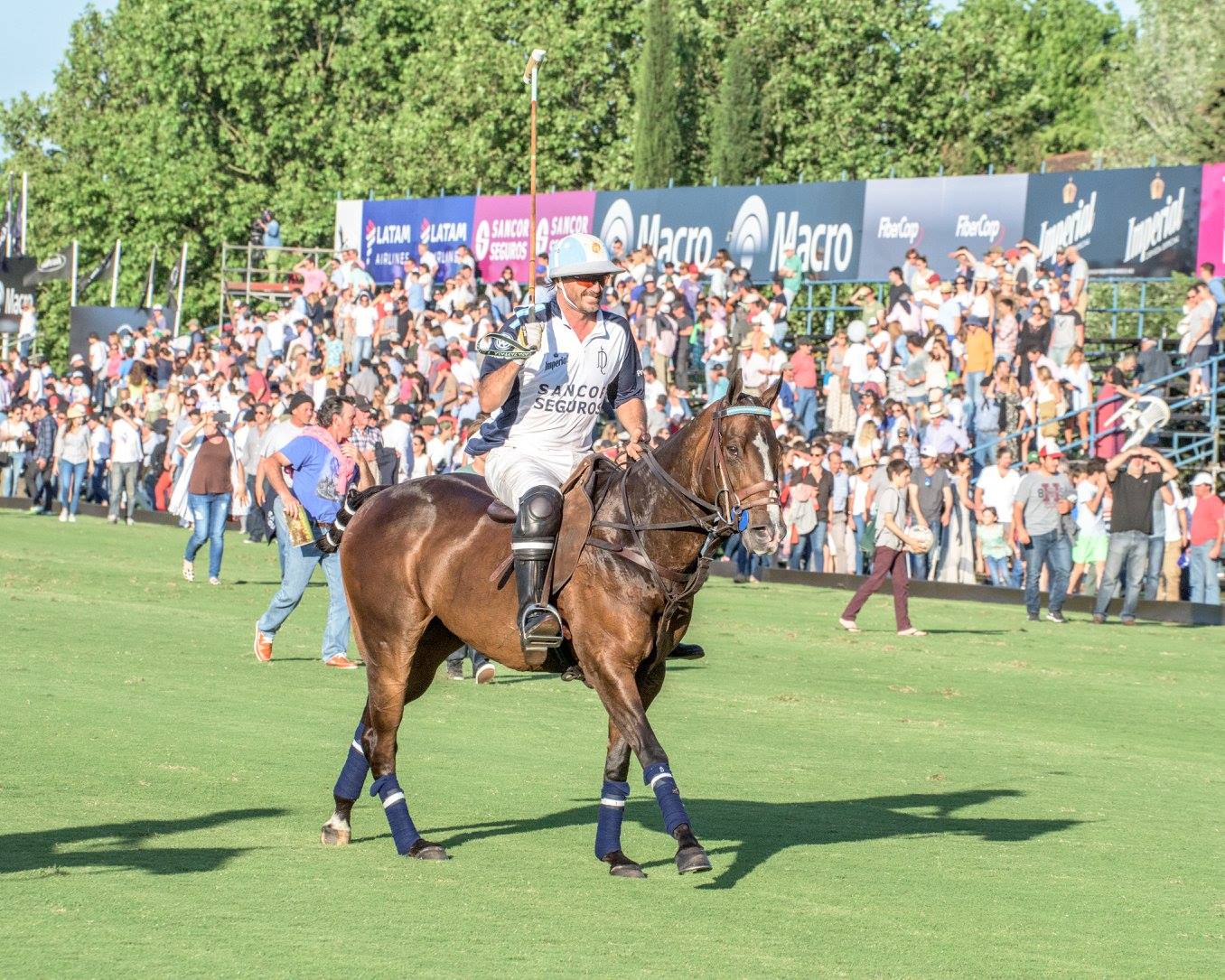 14714835 1805145753060563 7710806381684594805 o