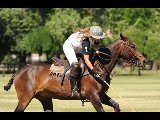 Miss England-playing polo in El Solar
