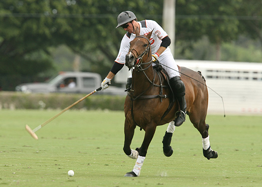 ERGpoloteamcocacolapoloteampolotournamentpolochampionships us open 2013 polo magazine 2