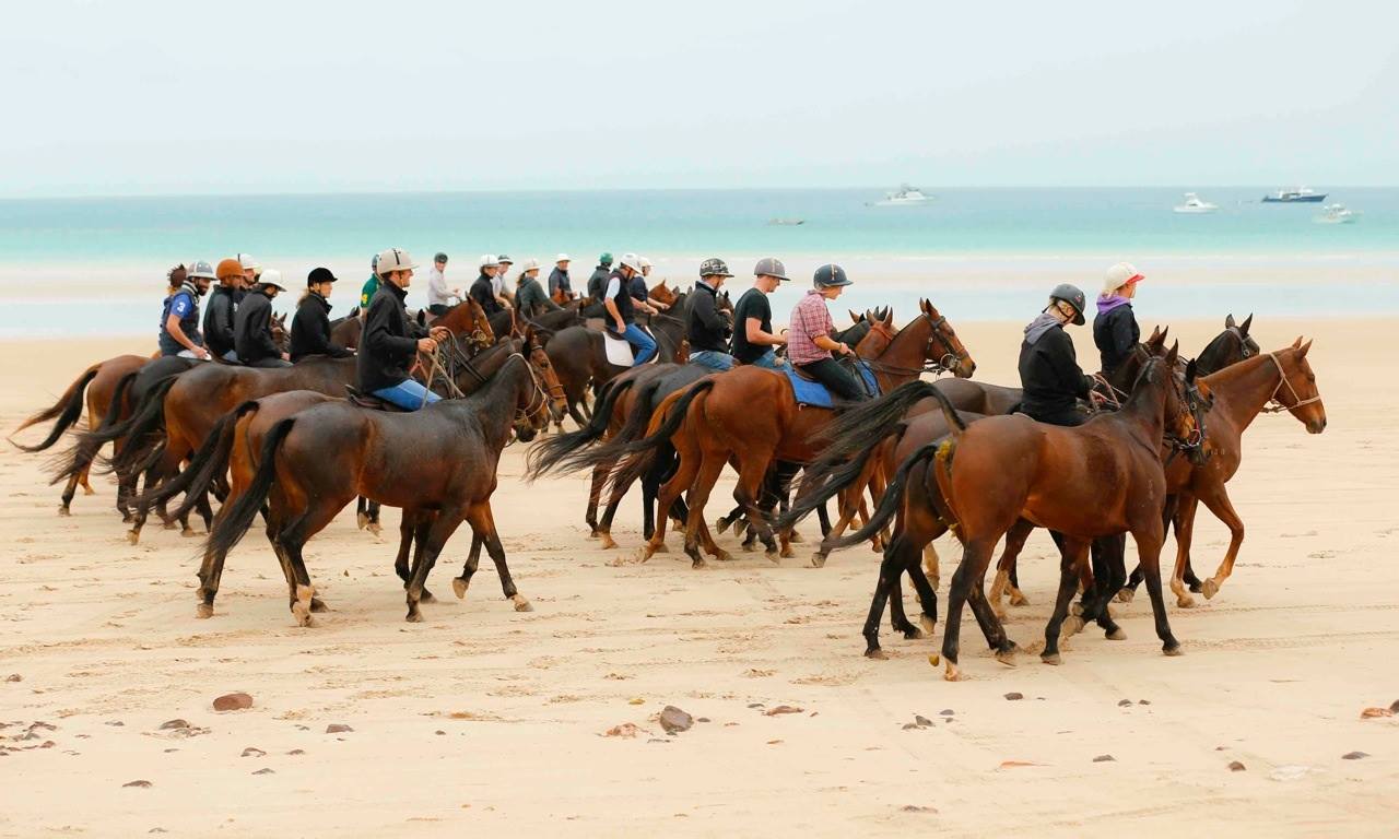 cable beach the horse arrive