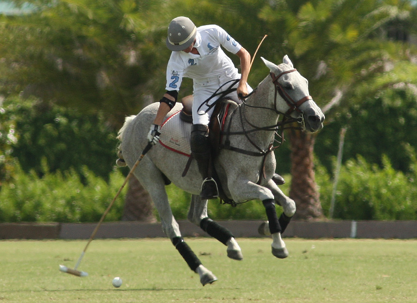casablanca polo tournament polo cup polo club 5