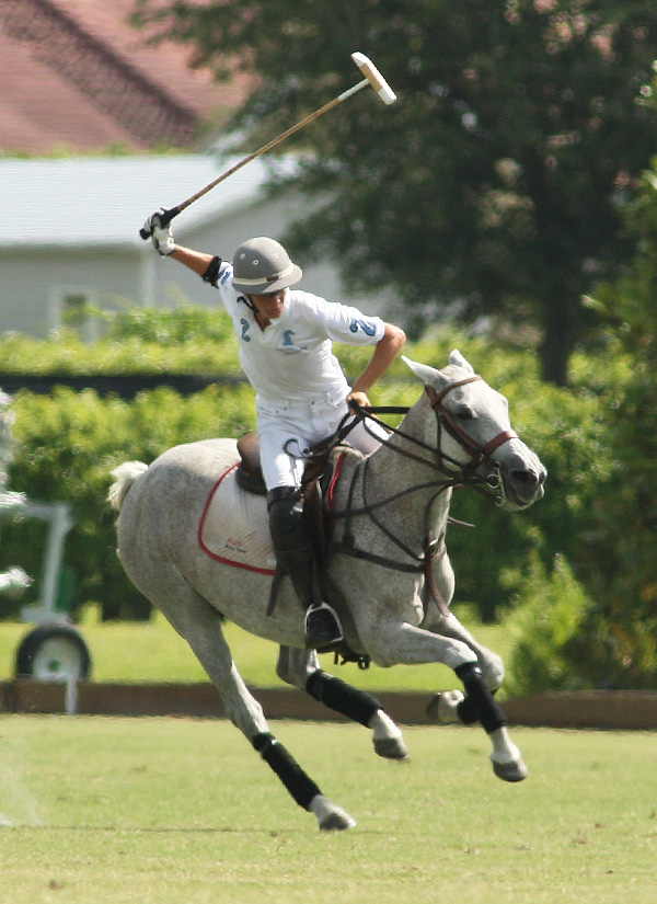 casablanca polo tournament polo cup polo club 6